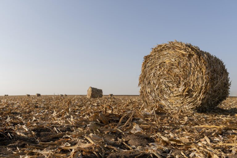 nature-landscape-with-hay