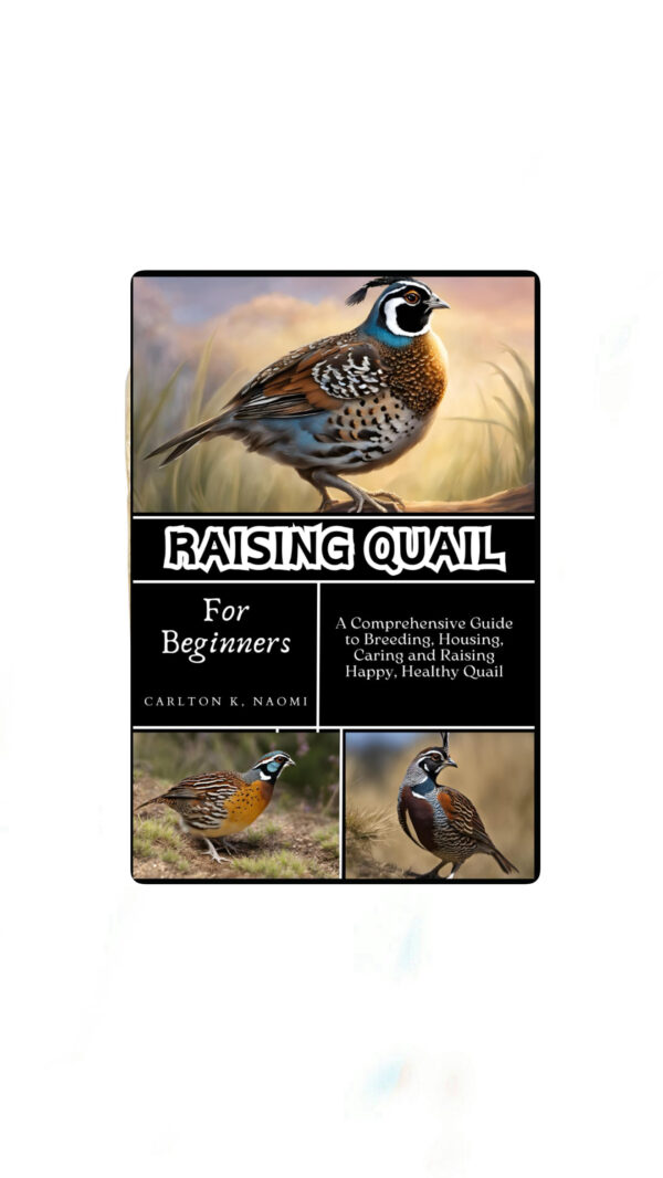 Raising Quail for Beginners