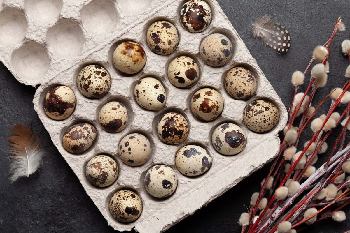 quail-eggs-pack-2022-02-01-01-57-24-utc-min-v2.jpg